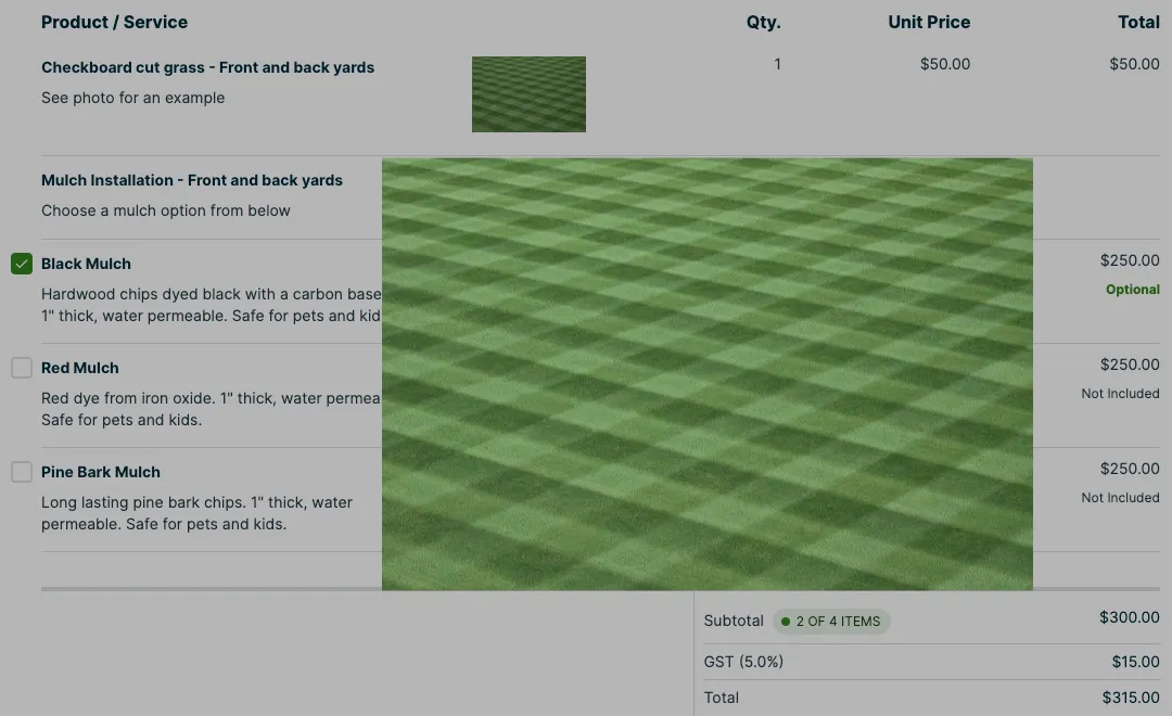 enlarged image of one of the line item image thumbnails